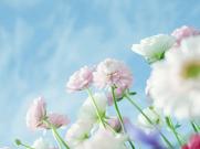 国内某美容院偷拍【10P】