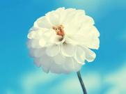 韩国名模——孙允珠  黑色