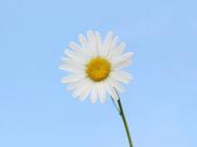 桃谷绘里香青春唯美4.42G高清HD